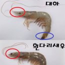 대하유통