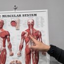 더바른재활운동센터 | 해운대재활교정 더바른교정재활센터 무릎통증해결, 개인PT후기