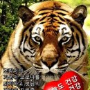 만수무강 - 울진군 | 만수무강