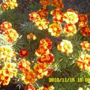 석전농장 이미지