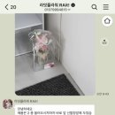 라잇플라워