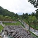 조영원 선생 공적비 이미지