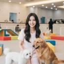 메리펫 애견유치원 | 메리펫애견유치원, 선택 전 꼭 알아야 할 프로그램과 시설, 성향 분석까지