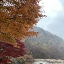 [문경여행] 가을 하면 &#39;문경새재&#39; 실시간 후기 (단풍, 대중교통, 점촌에서 새재, 입장 요금)