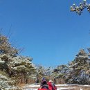 마당바위로 이미지