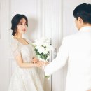 도화 이데일리
