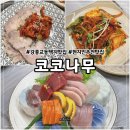 씨유강릉교동택지점 | 강릉 교동 택지 맛집 코코나무, 현지인도 찾는 숙성회 코스요리 내돈내산