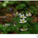 계곡이야기 이미지