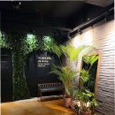 몸사랑 힐링샵 이미지