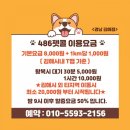 486펫콜 이미지