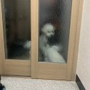 하미아미 이미지