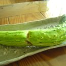 강인한농장 이미지