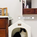 리찌하우스 | 디팡 안전용품 / 고양이숨숨집 / 강아지하우스 후기