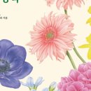 보태니컬아트 이미지