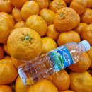 철이농장 이미지