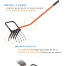 로타리건재 이미지