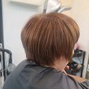 밀가헤어 이미지