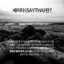 마리엔스 이미지