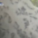 진성순대식당 이미지