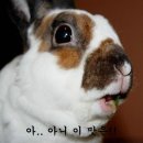 금양횟집 이미지