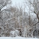 원우메디 | 눈 내린 철원 여행 날씨도 좋았어요 in 고마전 단체 졸업여행