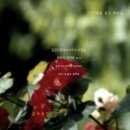 성보 공인중개사사무소 이미지