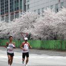 예산 벚꽃 마라톤대회 이미지