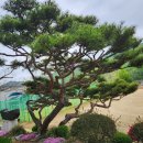 외산초등학교 이미지