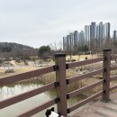 뷰티멍 | [보보일기/뷰티멍] 견생 십년차 김보보 구래동 애견 미용실 뷰티멍에서 목욕하다!