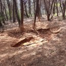 팔공산녹색길 숲길 2코스 이미지