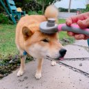 굿나잇 민박 이미지