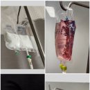 카톡 프로필에 이 사진을 올렸더니... 이미지