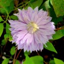 아산가든 이미지