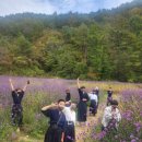 다온검도관 이미지