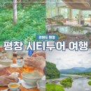 효자5동-04(효자5동 주민센터) | 강원도 평창 여름 가볼만한곳 치유의숲 광천선굴 당일치기 시티투어