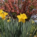 생명예찬2 이미지