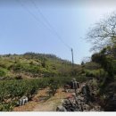 감산리 사무소 이미지