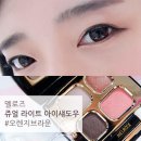 뉴랜드알로에 | [뉴랜드알로에] 멜로즈 쥬얼 라이트 아이섀도우 / 오렌지브라운