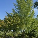 (주)레몬 이미지