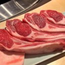 버스정류장(농산물품질관리원) 이미지