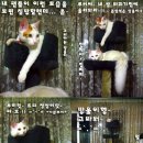 루이네 이미지