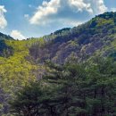 STX오토캠핑장 이미지