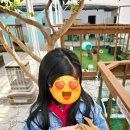 용문도서관 | (양평) 쉐르빌온천관광호텔, 토이앤버니팜, 여기가좋겠네 한식뷔페, 양평 외갓집 딸기농장 후기