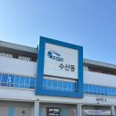 농수산물도매시장 과일동_1 | 수원 농수산물도매시장 탐방기! 과일동·수산동 신선 과일과 해산물 구경