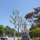 솔안말배드민턴장 이미지