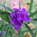 한림정역 이미지