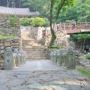 얼음골 봄 이미지