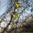 계남공원(배드민턴장) 이미지