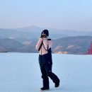 용산리2 소교량 24 | 알펜시아 스키장 평일 솔직 후기｜셔틀버스 정보 및 먹거리 후기