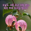 무제 이미지